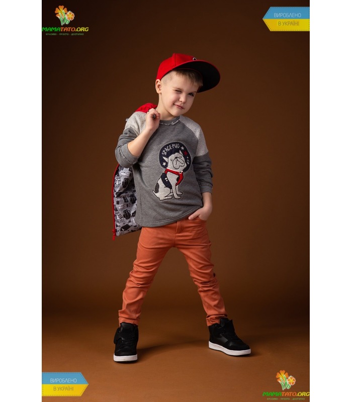 Джемпер Космическая Собака ДЖ186