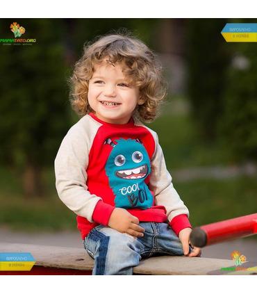 Джемпер Ліам ФБ592 RE