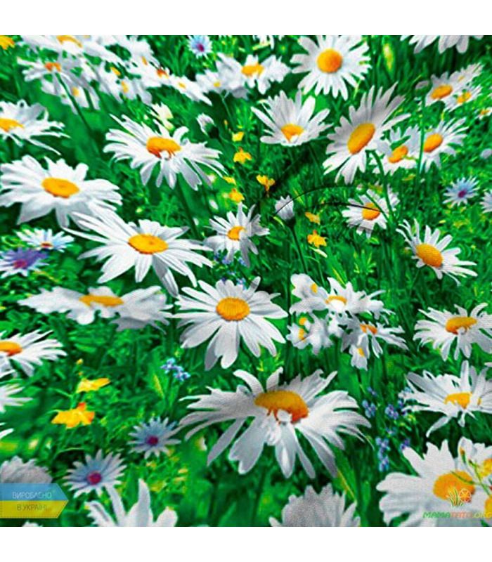 Комплект "Весняний сон" бязь PREMIUM