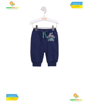 Бриджи детские ШР538 BB