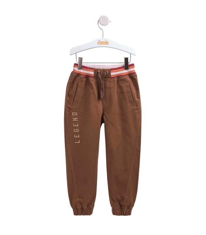 Штаны "Легенда" ШР566 BR