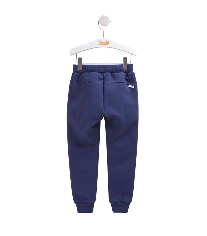 Штаны "Чемп" ШР567 TS