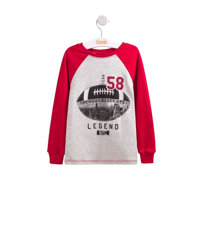 Джемпер Легенда ФБ666 RE