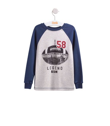 Джемпер Легенда ФБ666 TS