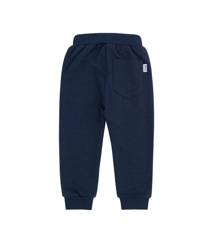 Спортивні штани ШР579 TS