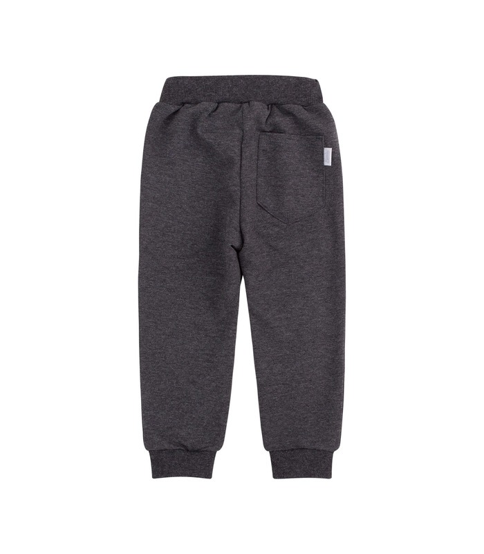 Спортивные штаны ШР579 TG