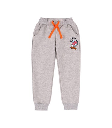 Спортивні штани ШР579 GR