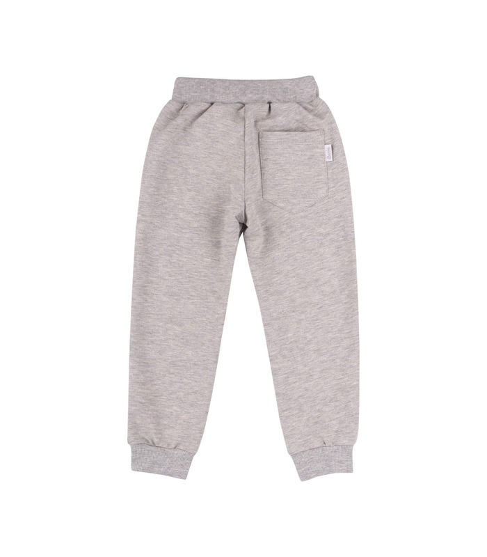 Спортивные штаны ШР579 GR