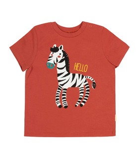 Детская футболка ФБ691 OR ➤ оранжевая футболка с зеброй мальчику