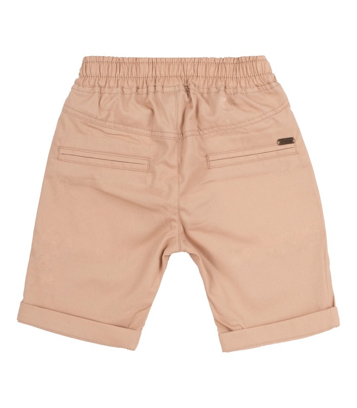 Шорты Вильям ШР593 BG