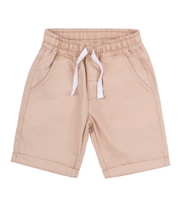 Шорти Вільям ШР593 BG