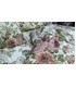 Комплект постельного белья Любава ᗍ бязь, Украина, натуральная ткань