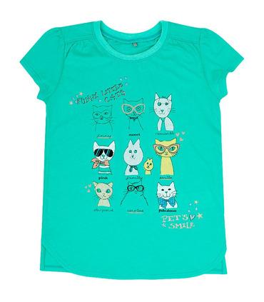 Футболка Кот бывает разный ФБ382 GR