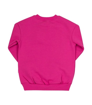 Джемпер Зірка ДЖ231