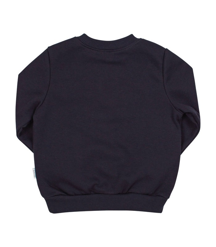 Джемпер Ведмежа ДЖ236