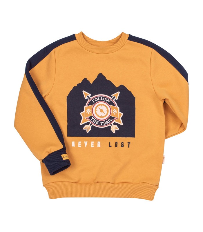 Джемпер Профі ДЖ221