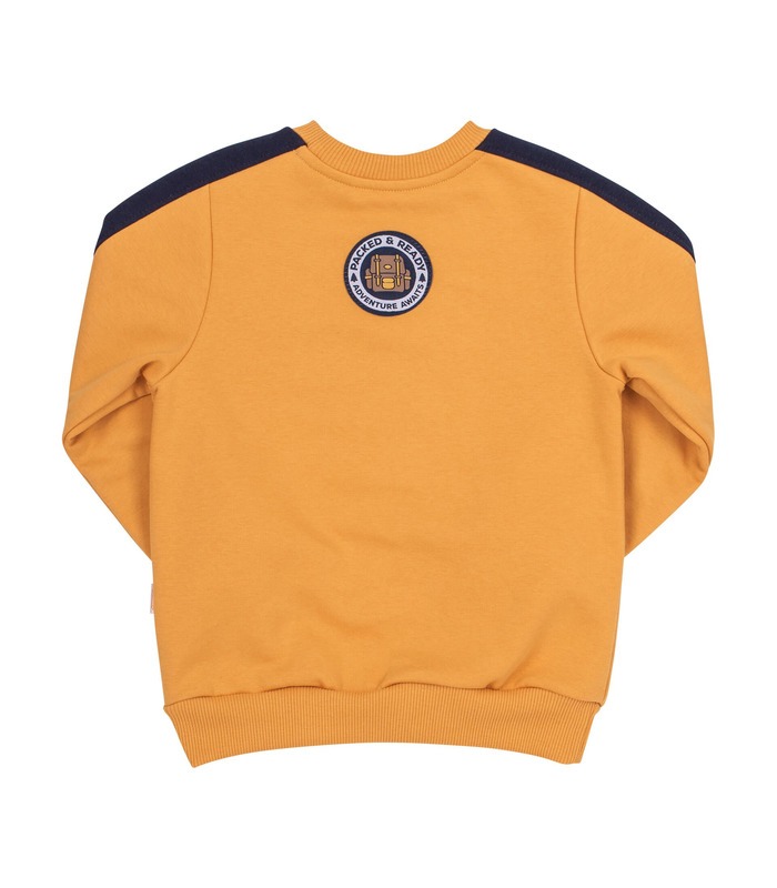 Джемпер Профі ДЖ221