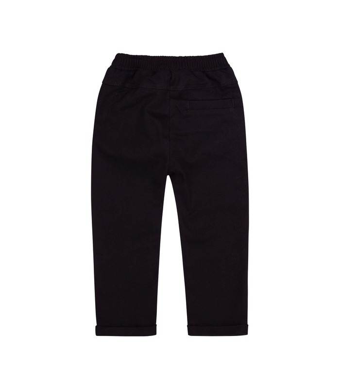 Штани Мен ШР629