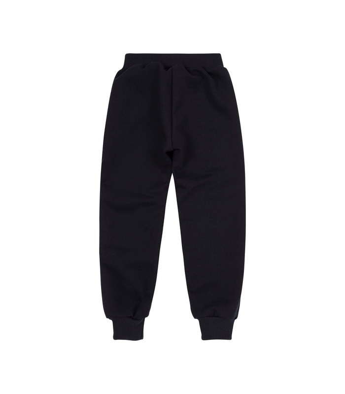 Штани ШР631 GR