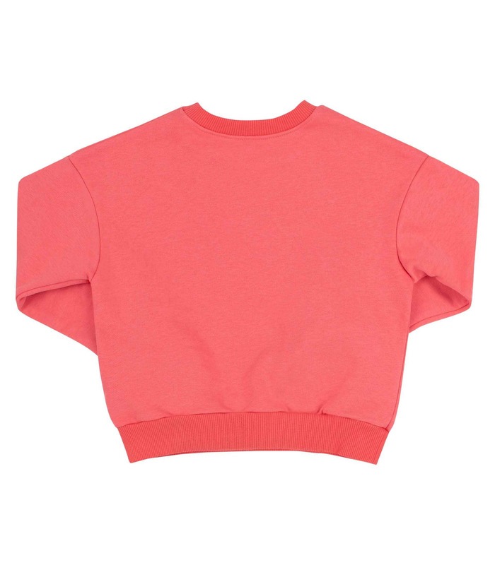 Джемпер Моніка ДЖ250 KO