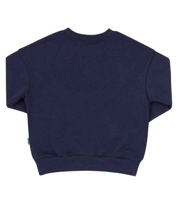 Джемпер Моніка ДЖ250 TS