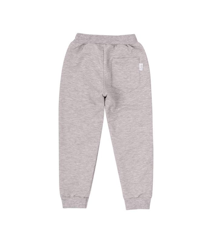 Штаны Денни ШР681