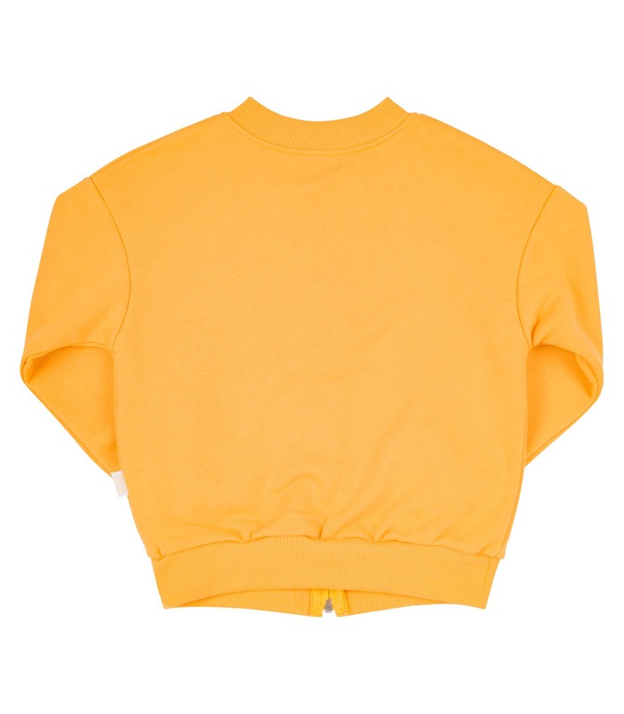 Спортивный костюм КС644