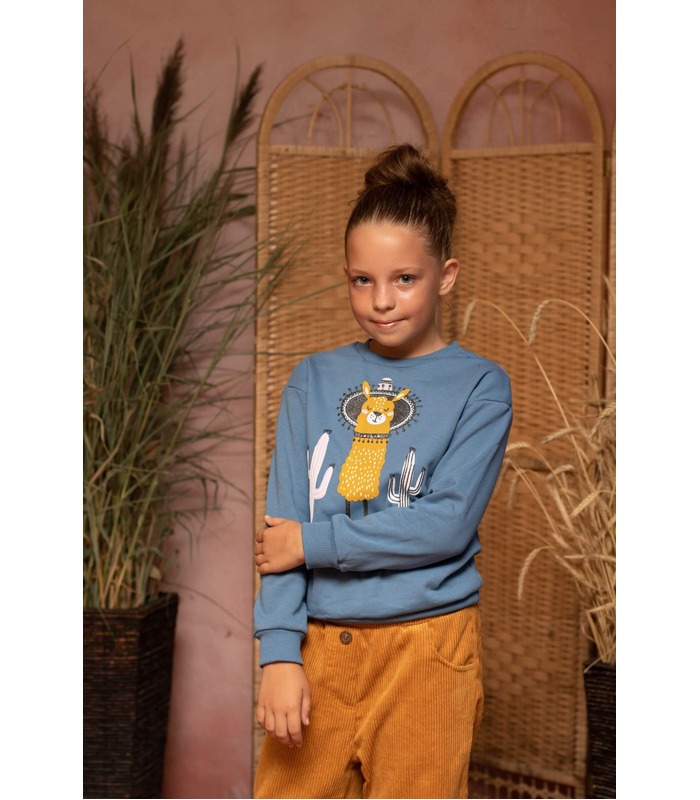 Джемпер Лама ДЖ231