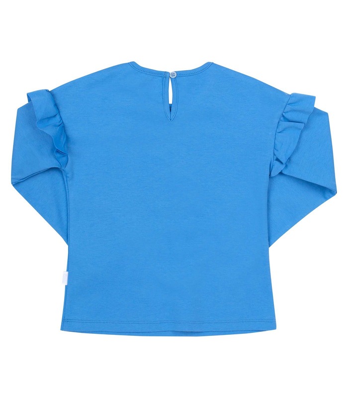 Джемпер Робин ФБ824а BB