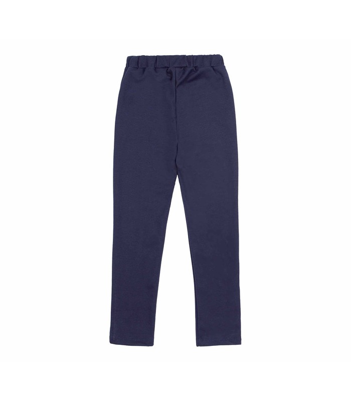 Штаны ШР654 TS