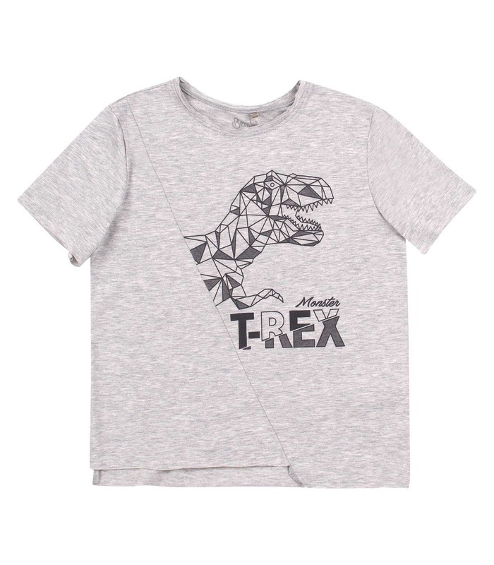 Футболка детская ФБ808