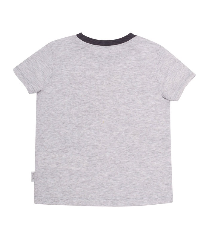 Футболка дитяча ФБ802 DI, дитяча футболка з динозаврами