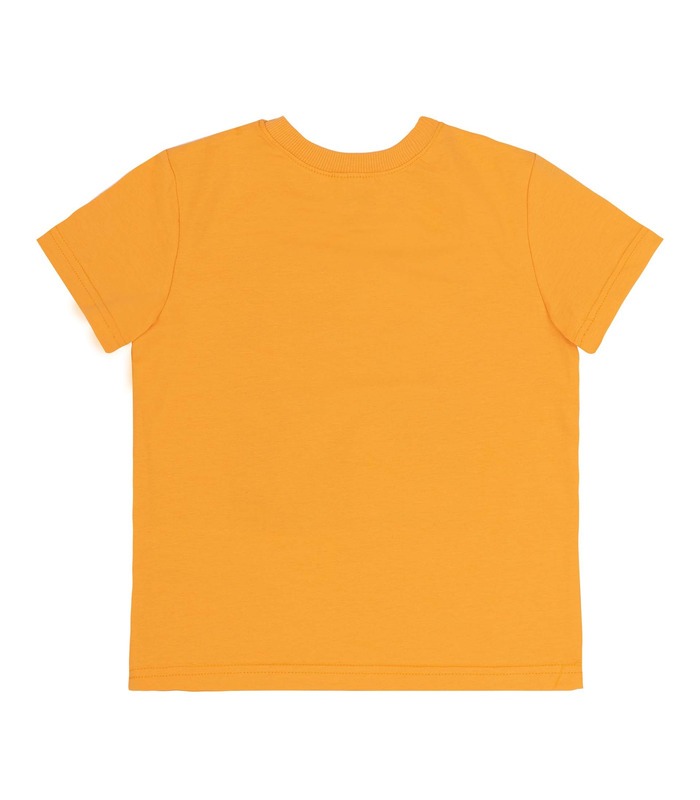 Футболка детская ФБ803 YE