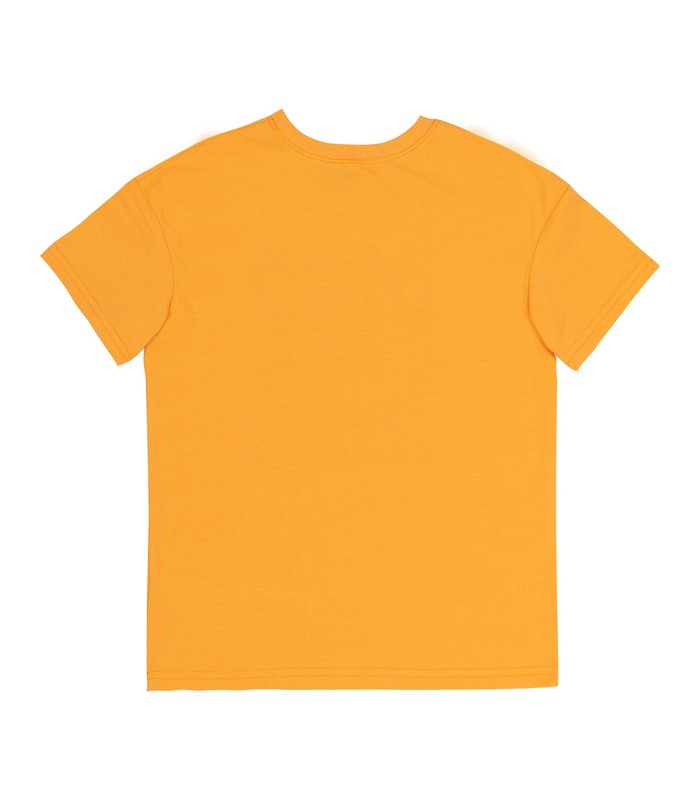 Футболка дитяча ФБ805 YE, футболка з динозавром