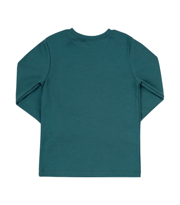 Джемпер Рос ФБ822а GR