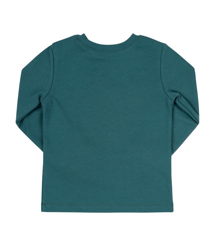 Джемпер Рос ФБ822а GG