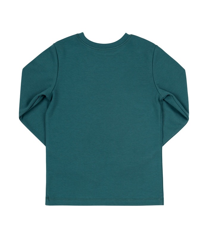 Джемпер Чендлер ФБ823а GG