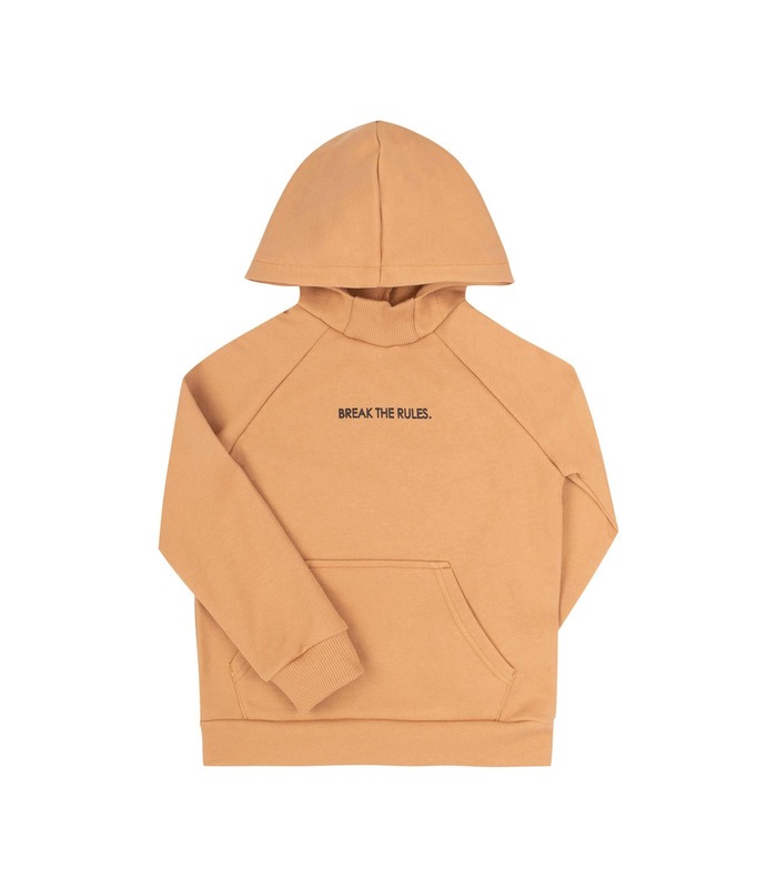 Дитяче худі ДЖ283 BG