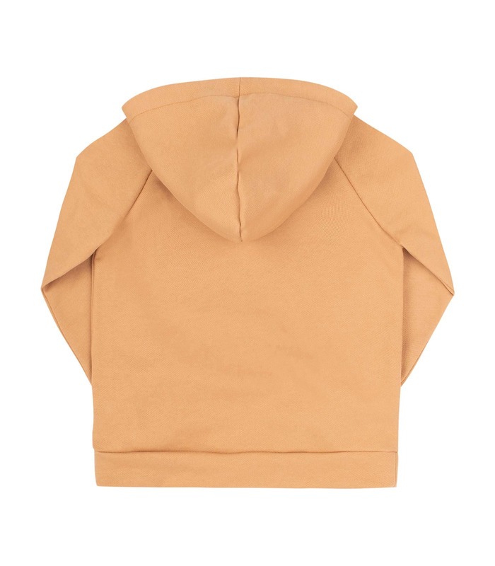 Дитяче худі ДЖ283 BG