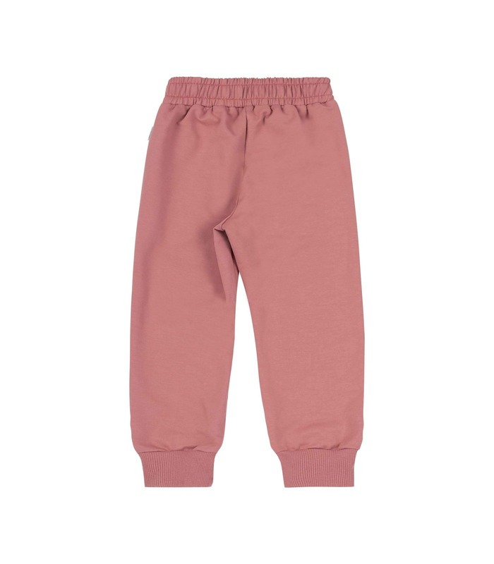 Дитячі штани ШР733 RO