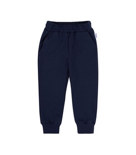 Детские штаны ШР733 TS ➤ синие детские спортивные штаны от МамаТато