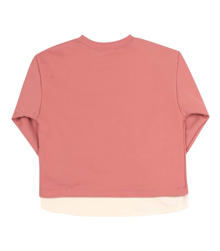 Джемпер дитячий ДЖ284 RO