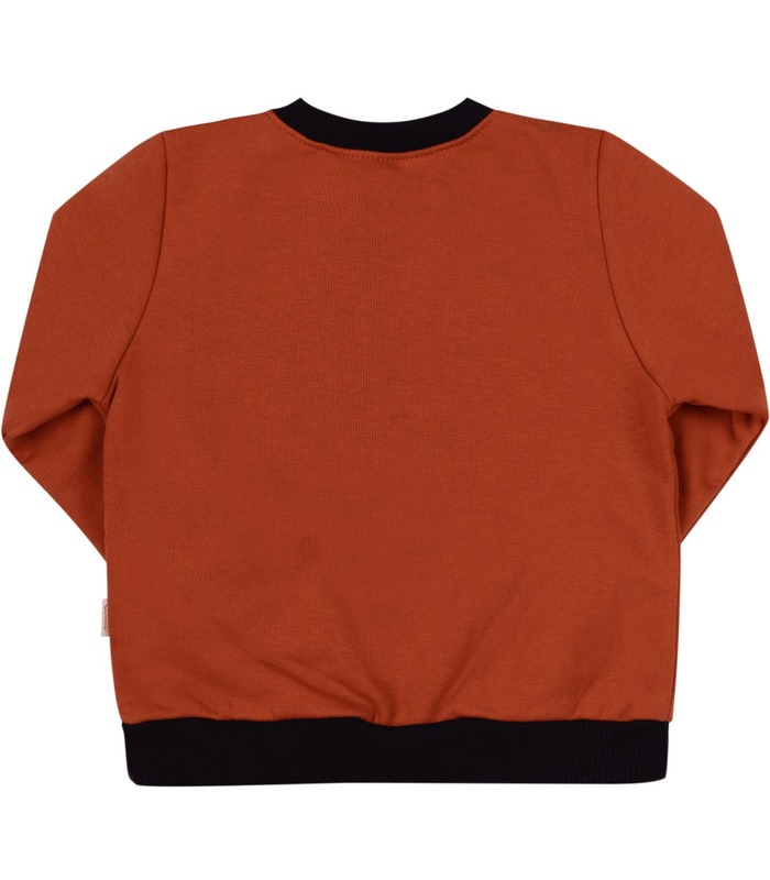 Детский джемпер ДЖ253 TE