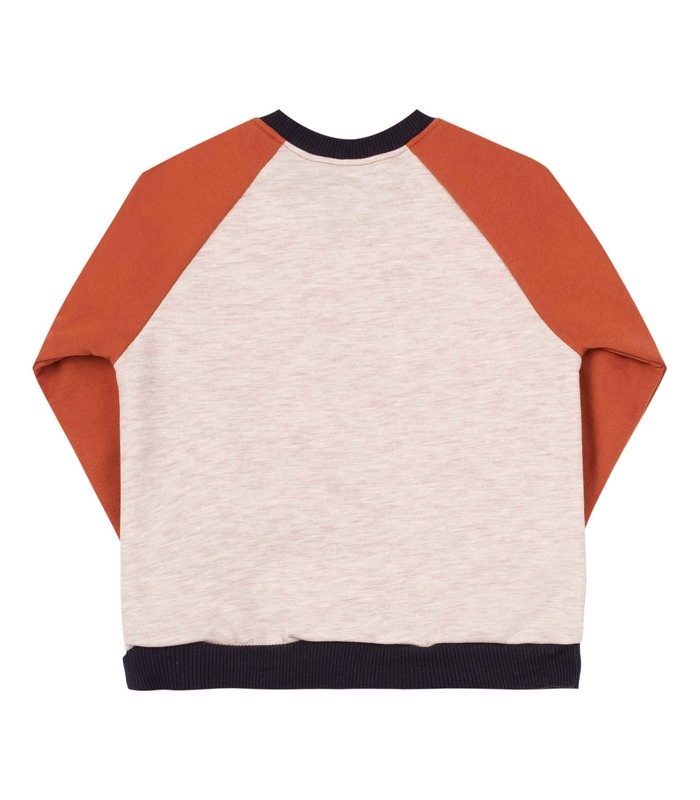 Детский джемпер ДЖ254 BG