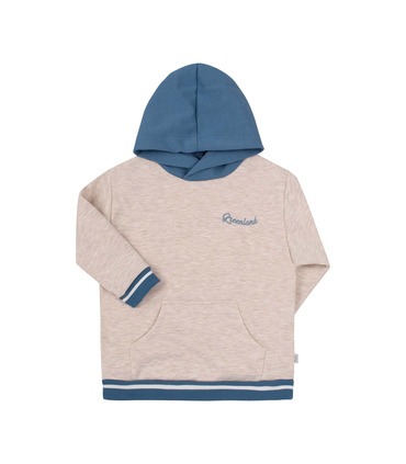 Дитяче худі ДЖ255