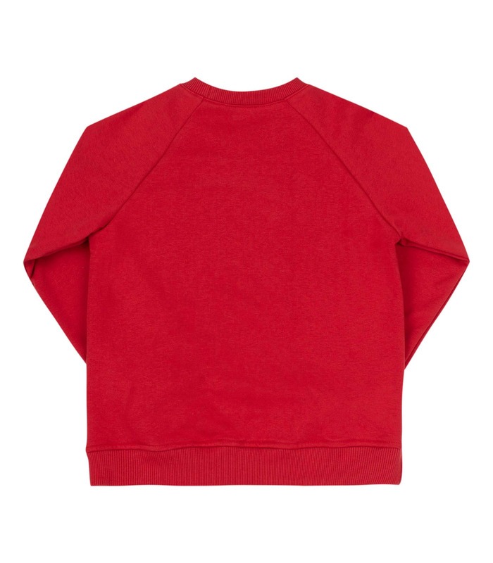 Дитячий джемпер ДЖ258 RE