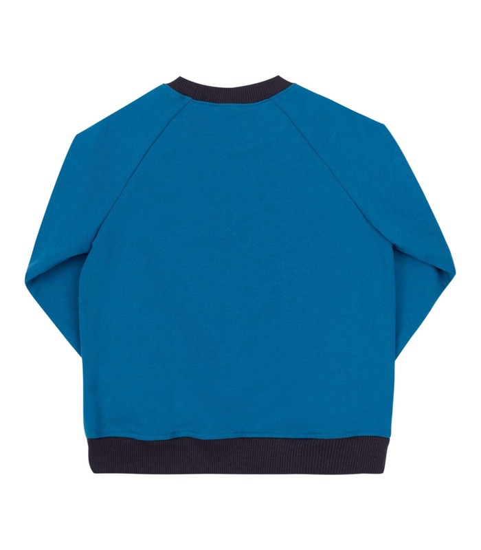 Детский джемпер ДЖ258 BI