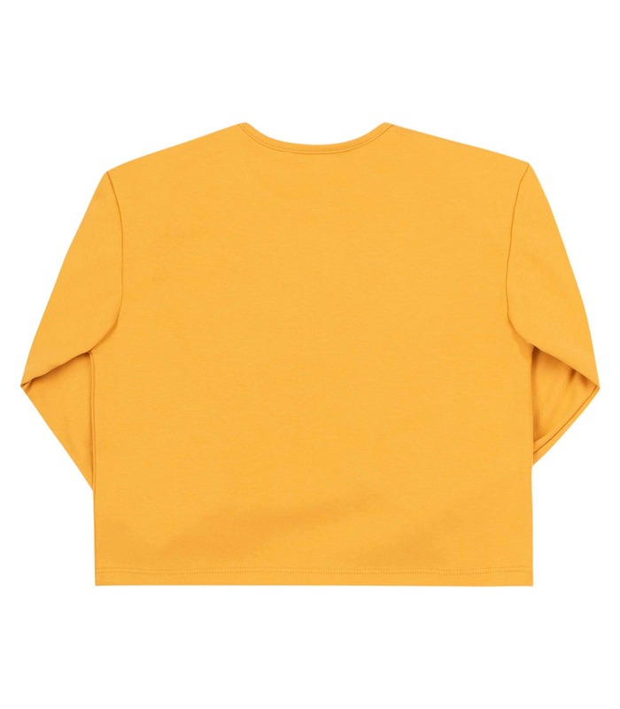 Дитячий джемпер ФБ842 YE