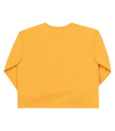 Дитячий джемпер ФБ842 YE