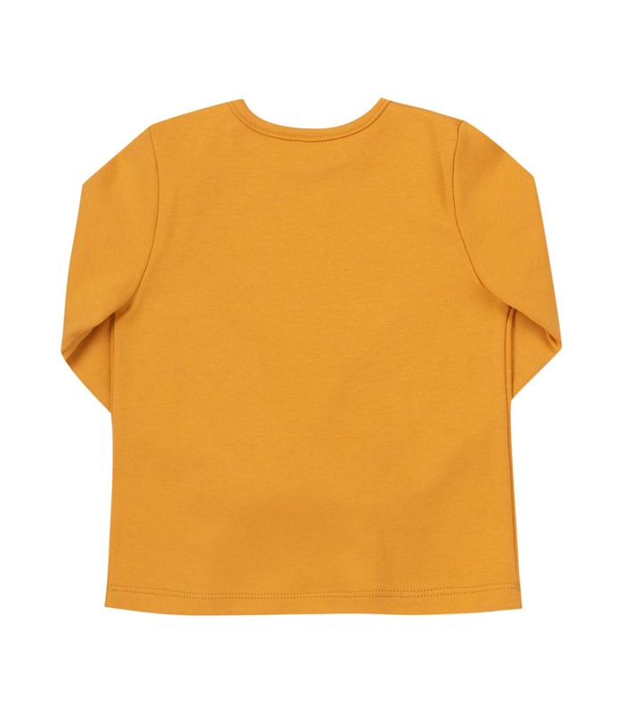 Дитячий джемпер ФБ839 YE